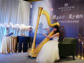 南海企業年會布置與文藝晚會策劃指南——佛山市星輝文化傳播專業服務