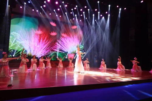 璀璨綻放，情暖鄰里——第五屆湖里區社區工作者文化節文藝晚會圓滿落幕